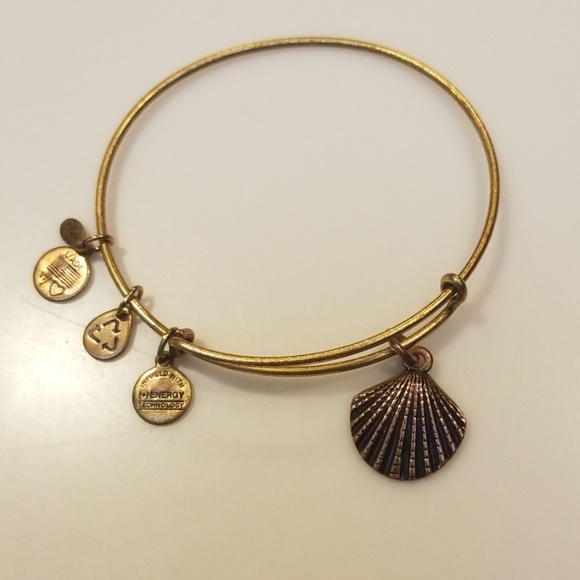 Alex and Ani Jewelry - Alex and Ani Bracelet